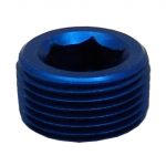 Allen Socket Pipe Thread Plugs 1/4